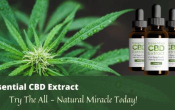 Essential CBD Extract Where to Buy